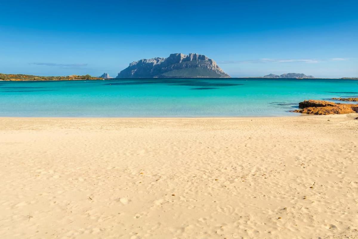 Apartament La Cala Olbia Zewnętrze zdjęcie